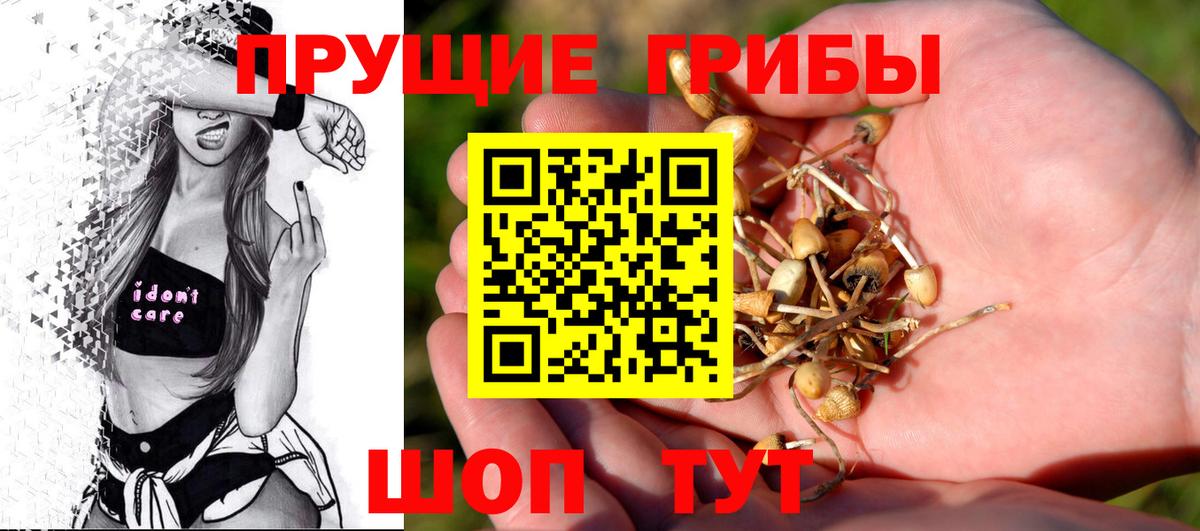 Псилоцибиновые грибы ЛСД Амурск
