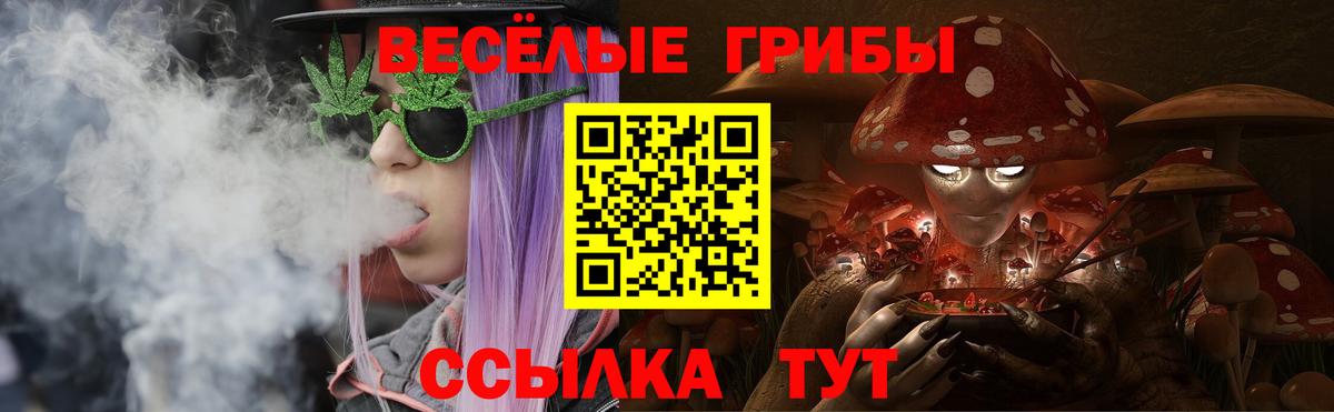 Амурск  Галлюциногенные грибы MAGIC MUSHROOMS  Вход с VPN  Псилоцибиновые грибы GOLDEN TEACHER 